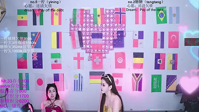 CCTW-100 webcam