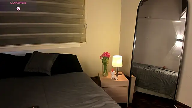 MERIDA_TAYLOR webcam