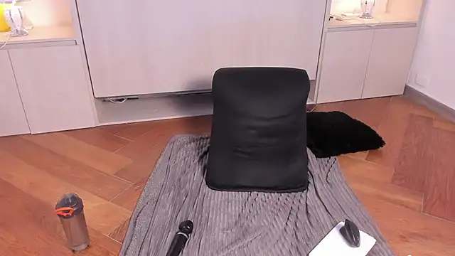 Stefannyevans_ webcam