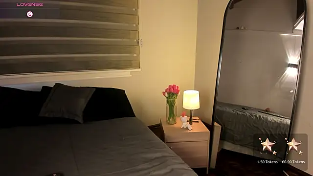 MERIDA_TAYLOR webcam
