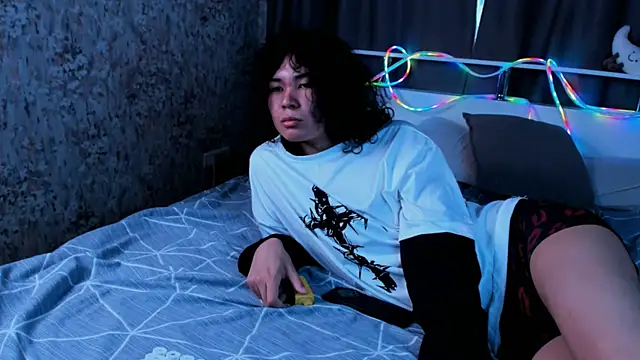 Gentle_Flash webcam