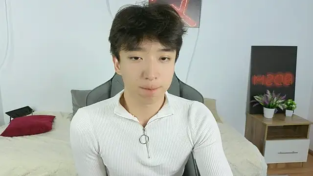 DianInav webcam