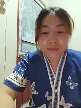 he-se-kin webcam