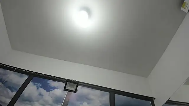 DilanAndKing webcam