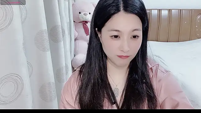D-Misslu webcam