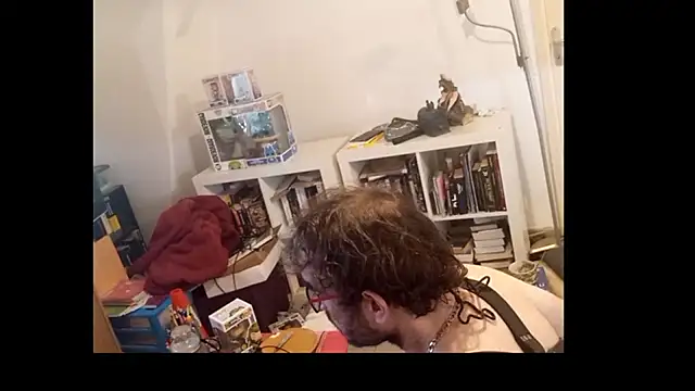 Mastersanges webcam