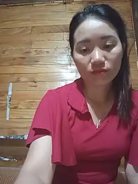 Td3di webcam