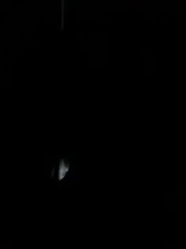 benly888 webcam