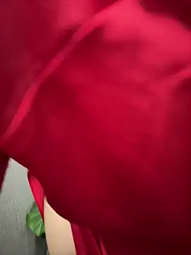 Nana-19 webcam