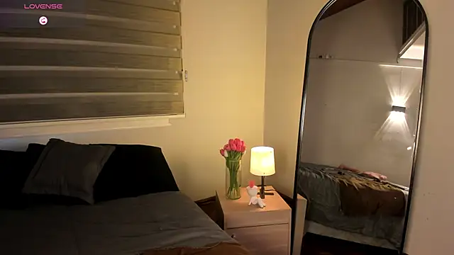 MERIDA_TAYLOR webcam
