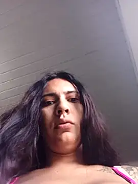 isistrans19 webcam