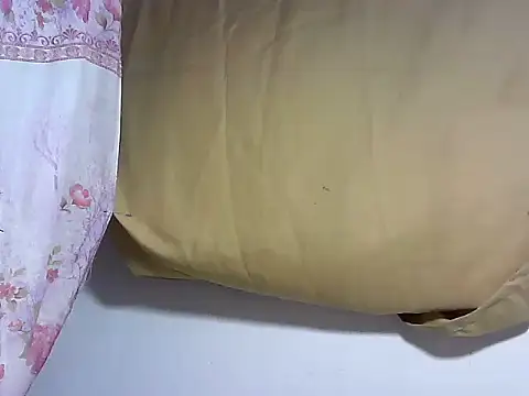bj_l0ve webcam