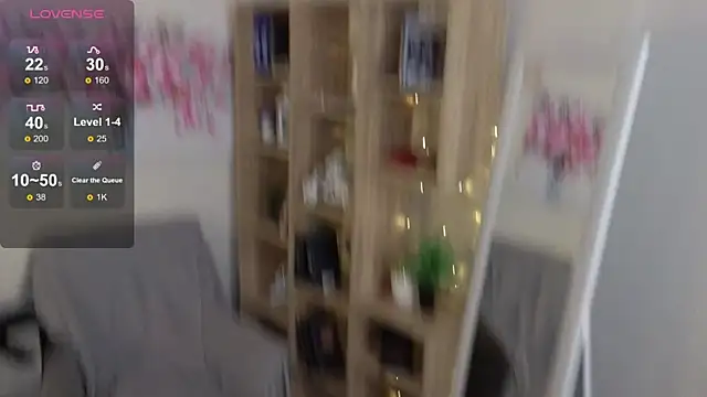 Sue_Sanders webcam