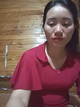 Td3di webcam