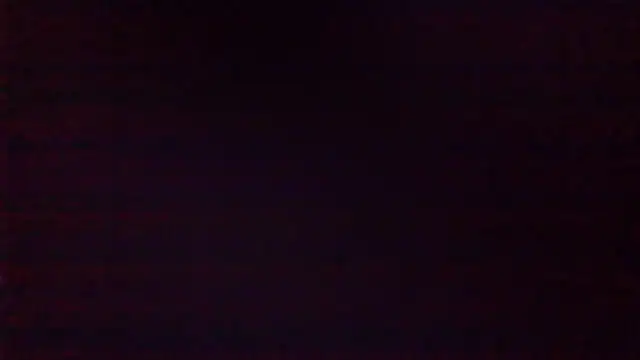 NuttyProfesir webcam