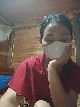 Td3di webcam