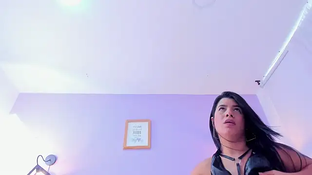 dakotaharrise webcam