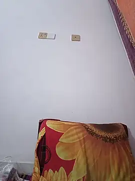 Hot_Angle webcam