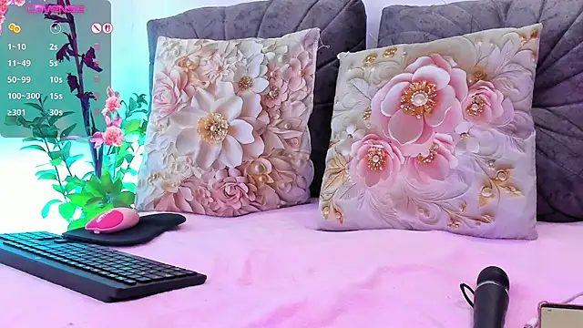 NayeCloud webcam