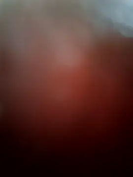EchoVibe_86 webcam