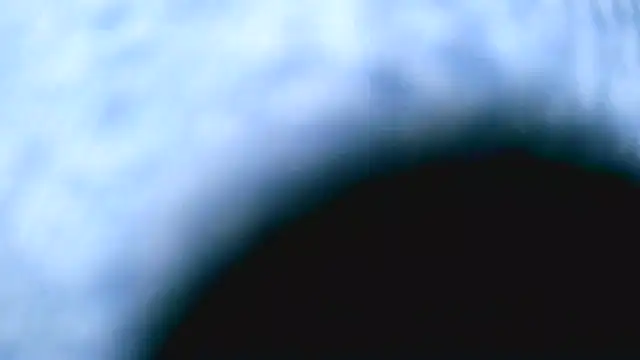 Bustypillows webcam