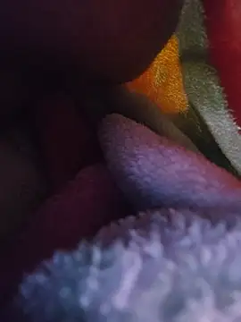 Sexy-lord webcam