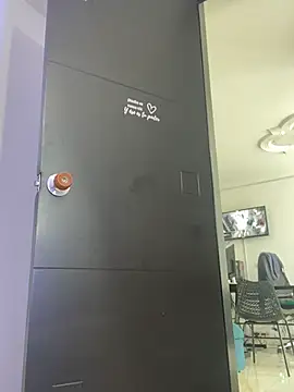 ELY_FE_ webcam