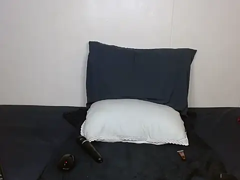 ReloadingX webcam