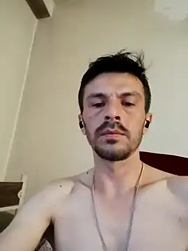 onlinehard31xx webcam