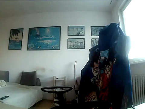 Robert_SK1 webcam