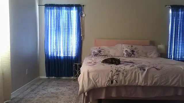 Wishgoddes webcam