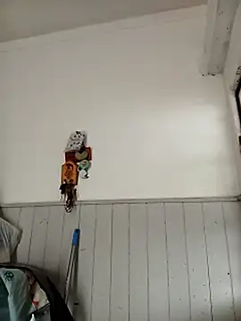 bebesuculento webcam