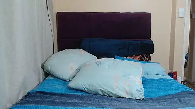 Bbw255 webcam