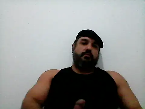 stallony webcam