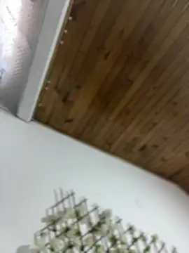 NikkiNix webcam
