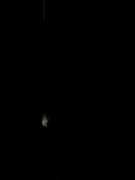 benly888 webcam