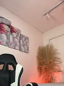 Samir_bear webcam