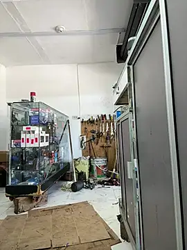 Paul22cm- webcam