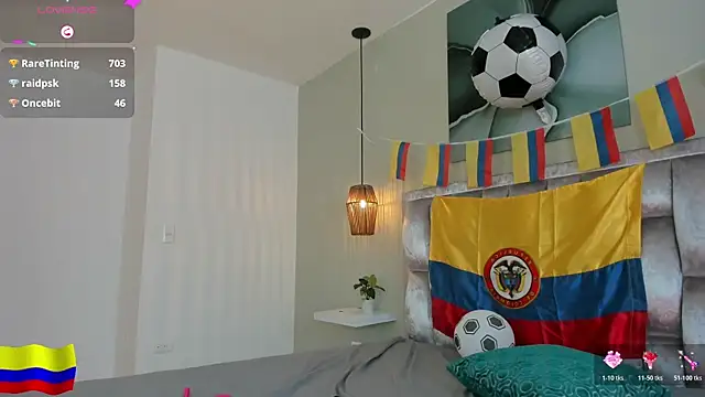 Nox_katana webcam