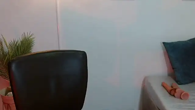 Evanss_lx webcam
