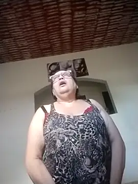 catdool webcam