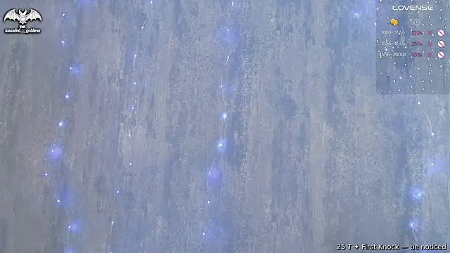 Wounded_Goddess_ live cam on StripChat