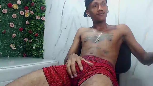 ManSant webcam