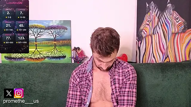 Promethe_us webcam