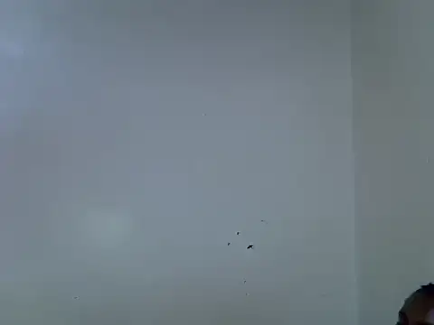 velvet_luxe webcam