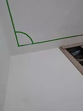 Tiger_cryad webcam
