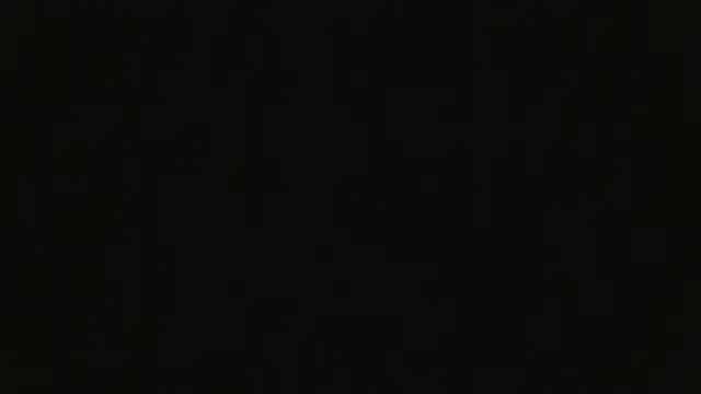 Sven_50 webcam