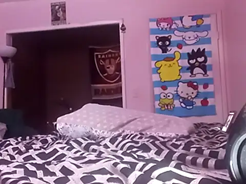 Blkstylion webcam