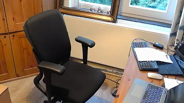 RolfS_bi webcam
