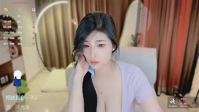 Vaidurya-Yolo webcam
